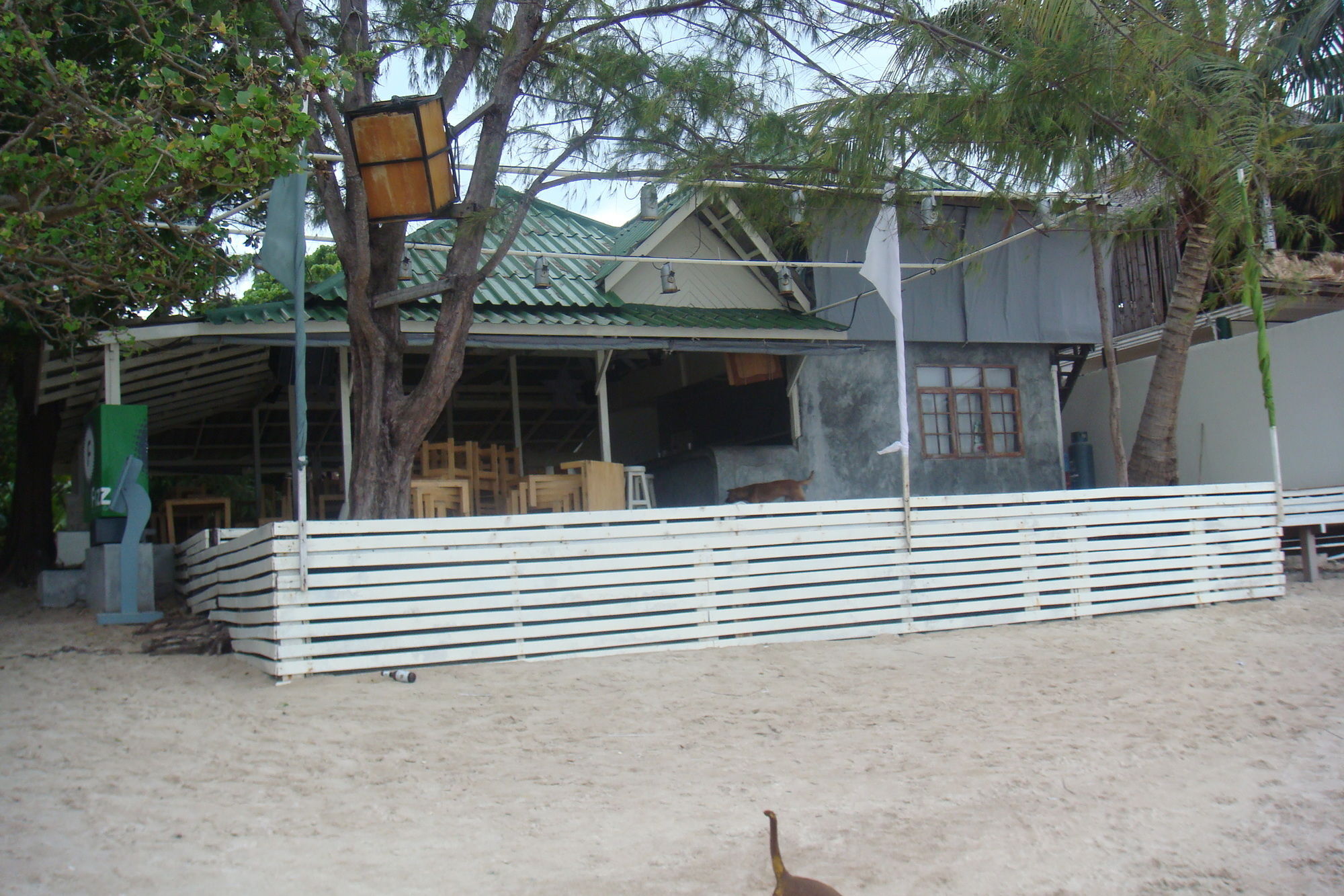 Silver Sands Beach Resort Koh Tao Exteriör bild